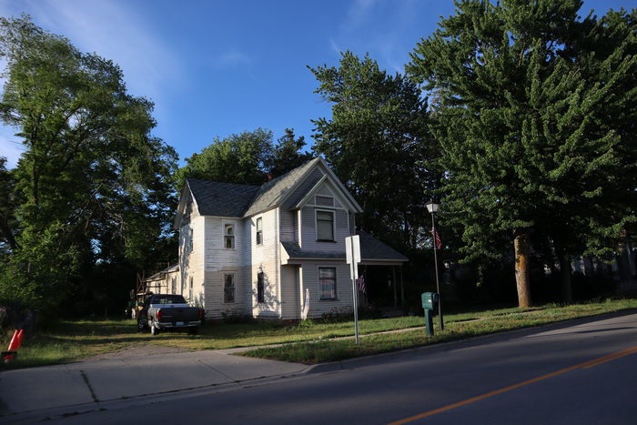 Hemlock - June 2021 (newer photo)